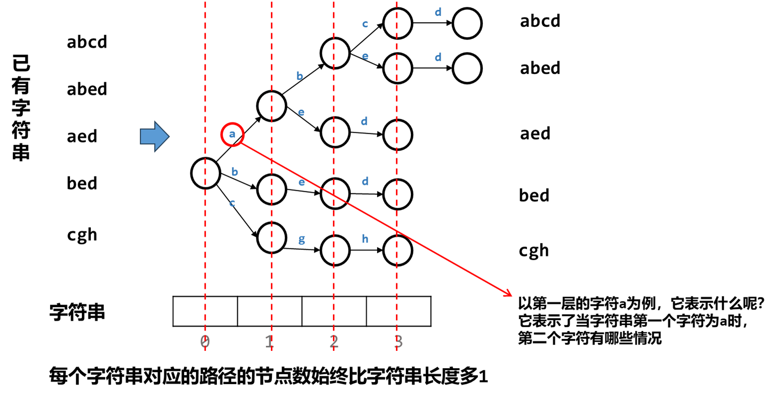 树的结构